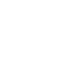 violin-icon